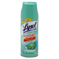 9952_18001355 Image Lysol Disinfectant Spray, Garden Mist Scent Aerosol.jpg